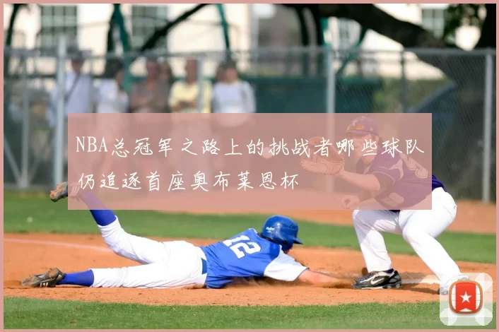 NBA总冠军之路上的挑战者哪些球队仍追逐首座奥布莱恩杯